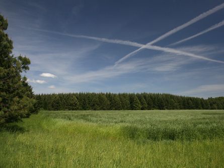 Yamhill County Horse Farm