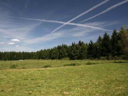 Picturesque and Productive Willamette Valley Land