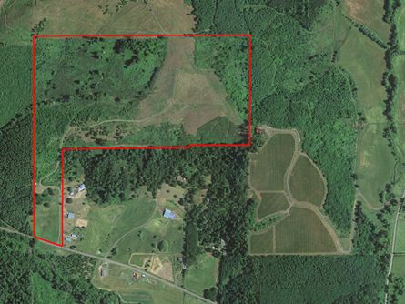 88 Acres in Yamhill County wine country